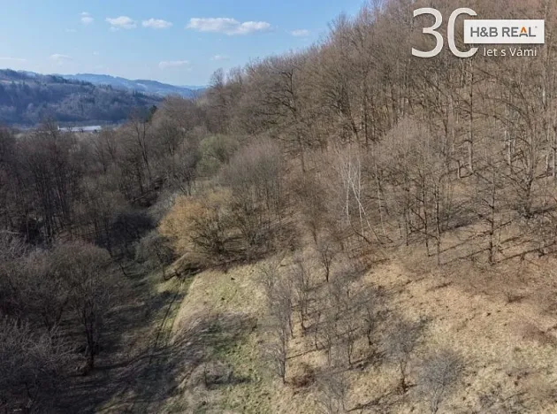 Prodej pozemku, Vsetín, 52963 m2