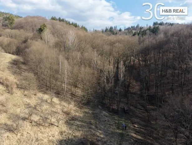 Prodej pozemku, Vsetín, 52963 m2