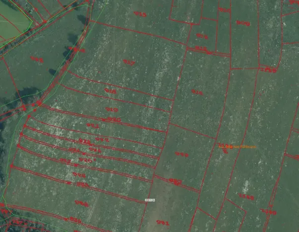 Prodej pole, Bělá nad Radbuzou, 174301 m2