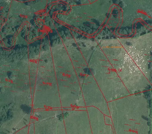 Prodej pole, Bělá nad Radbuzou, 174301 m2