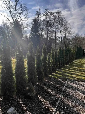 Prodej pozemku, Konárovice, 1206 m2