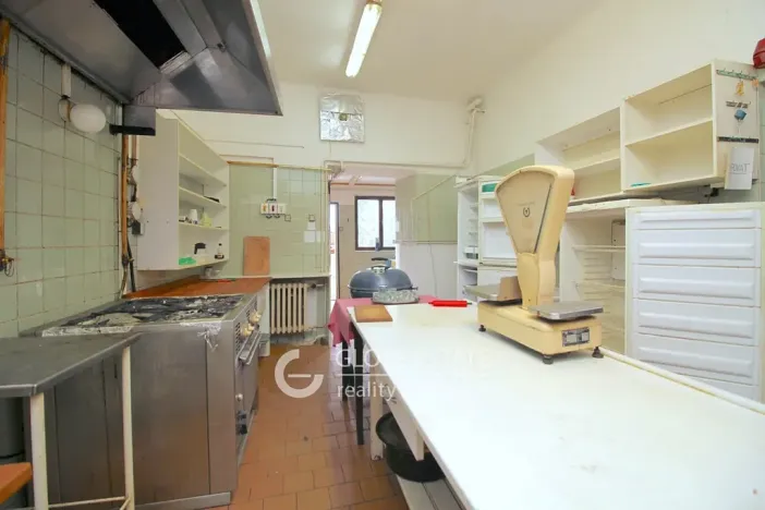 Prodej rodinného domu, Čelákovice, Masarykova, 450 m2