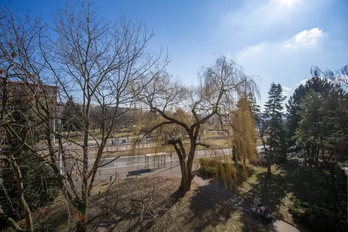 Pronájem bytu 2+1, Most, Jaroslava Vrchlického, 55 m2