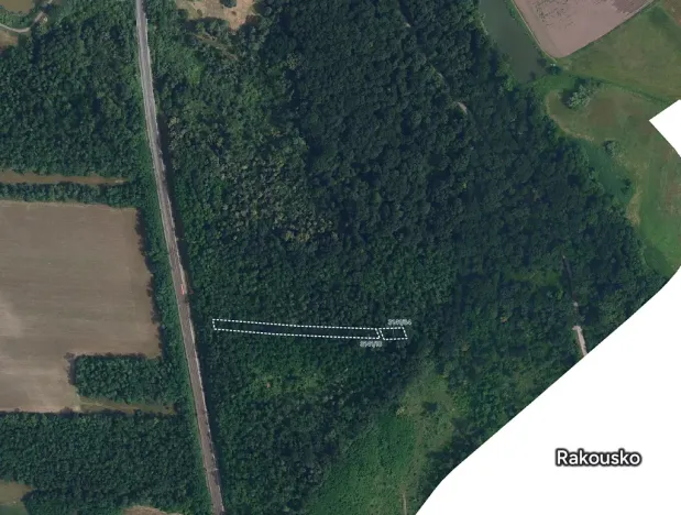 Prodej lesa, Břeclav, 1050 m2