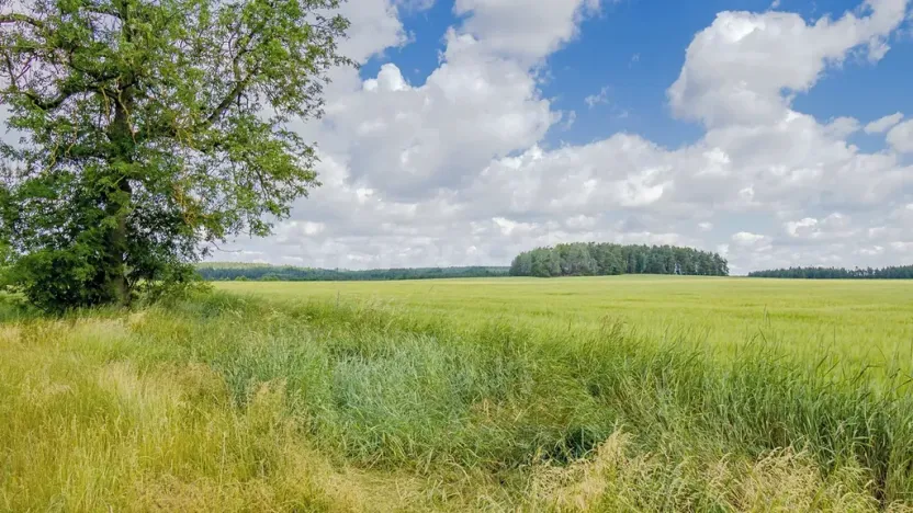 Prodej pozemku pro bydlení, Olbramov, 2128 m2