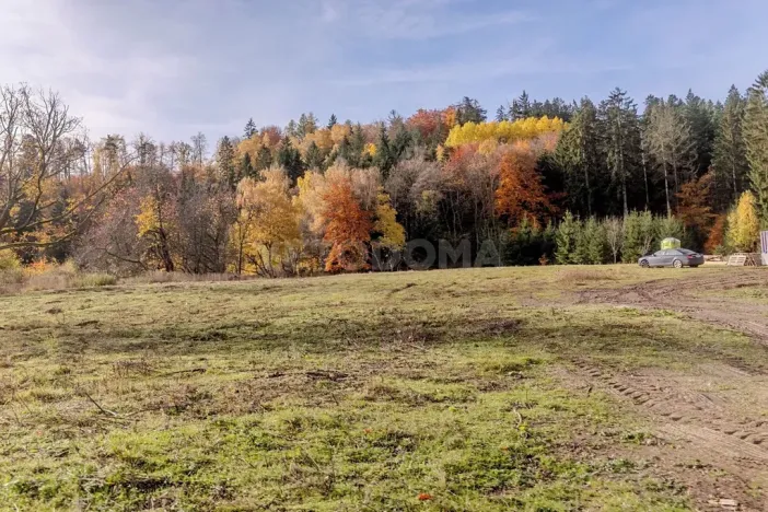 Prodej pozemku pro bydlení, Konstantinovy Lázně, 4381 m2