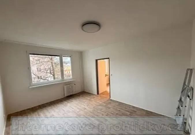 Pronájem bytu 1+1, Ústí nad Labem, Železná, 35 m2