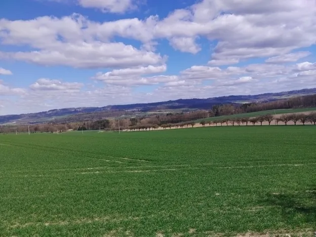 Prodej rodinného domu, Libice nad Doubravou, 83 m2