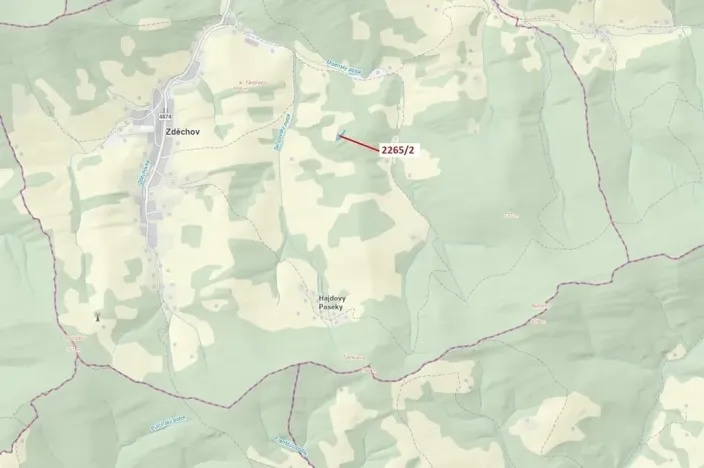 Dražba lesa, Zděchov, 2225 m2