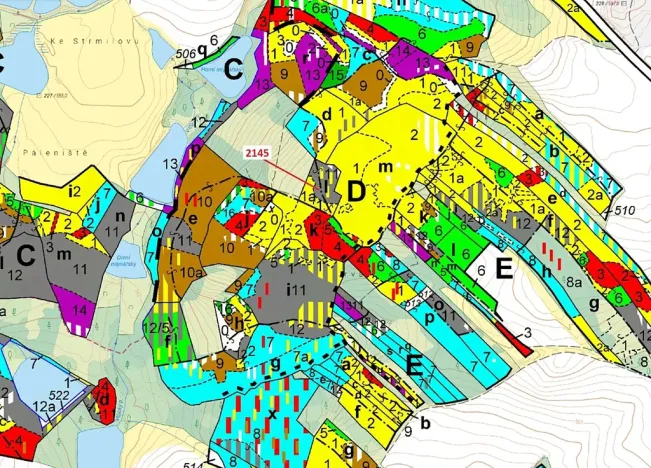Dražba lesa, Strmilov, 5413 m2