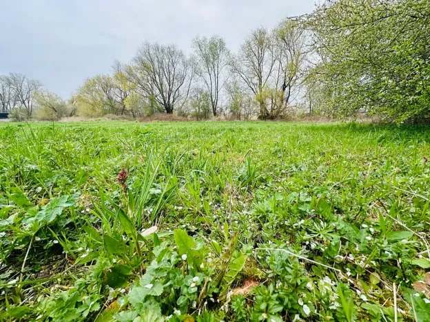 Prodej pozemku pro bydlení, Dlouhá Lhota, 3560 m2