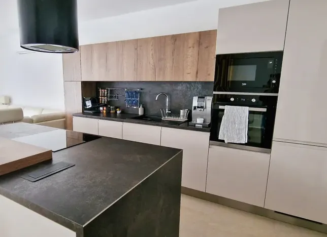 Prodej vícegeneračního domu, Pasohlávky, 320 m2