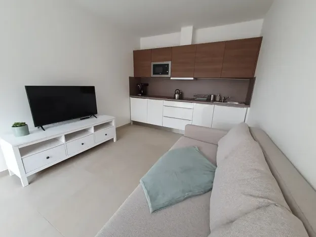 Prodej vícegeneračního domu, Pasohlávky, 320 m2