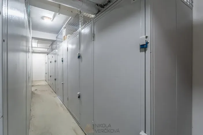 Pronájem bytu 2+kk, Brno, Burešova, 53 m2