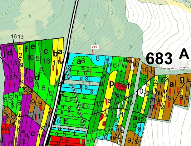 Dražba lesa, Vesce, 1673 m2
