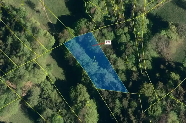 Dražba lesa, Zděchov, 1413 m2