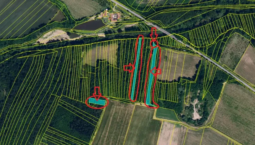 Prodej lesa, Vémyslice, 5661 m2