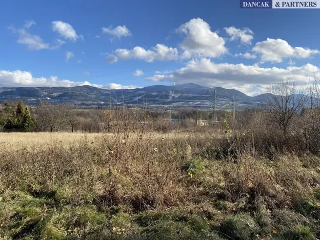 Prodej pozemku pro bydlení, Frýdlant nad Ostravicí, Havlíčkova, 6279 m2