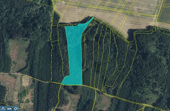 Prodej lesa, Mlázovice, 30813 m2