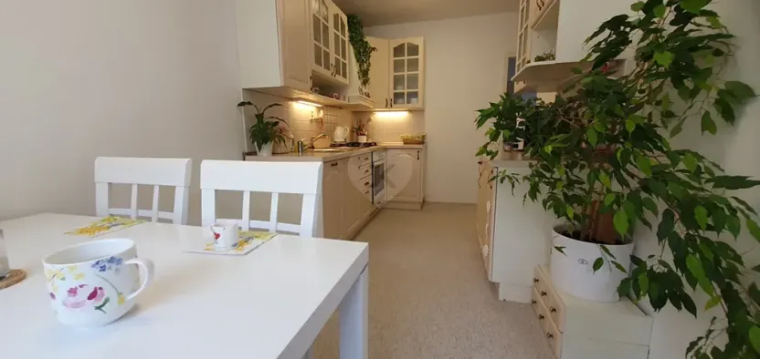 Pronájem bytu 3+1, Praha - Žižkov, Na rovnosti, 75 m2