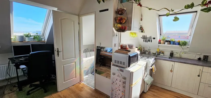 Pronájem bytu 2+kk, Brno - Černovice, Řehořova, 26 m2