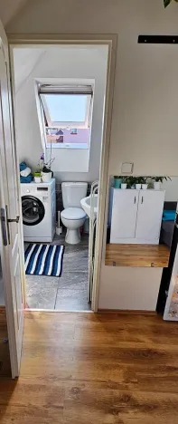 Pronájem bytu 2+kk, Brno - Černovice, Řehořova, 26 m2