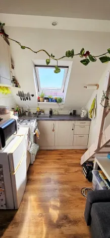 Pronájem bytu 2+kk, Brno - Černovice, Řehořova, 26 m2