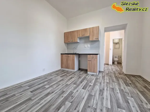 Pronájem bytu 1+1, Ostrava, 39 m2