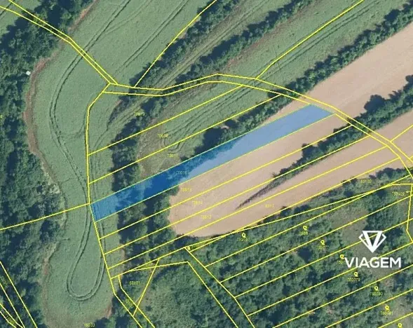 Prodej pole, Tučapy, 1405 m2