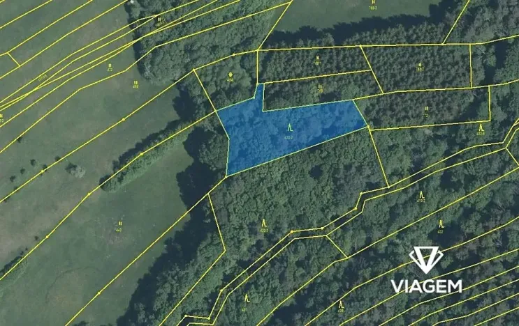 Prodej podílu lesa, Luhačovice, 1729 m2