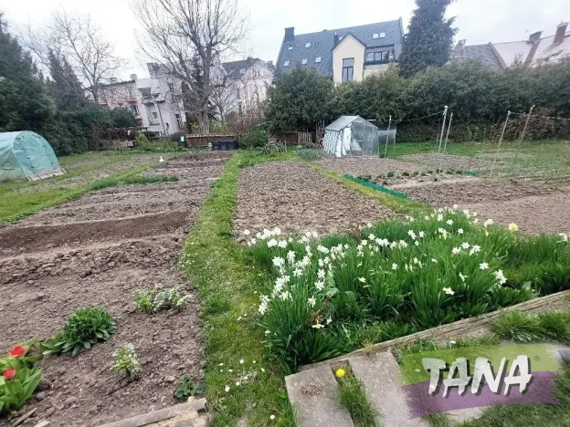 Pronájem bytu 3+1, Turnov, Rokycanova, 82 m2