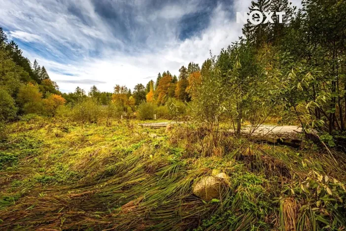 Prodej pozemku pro bydlení, Kaplice, 504 m2