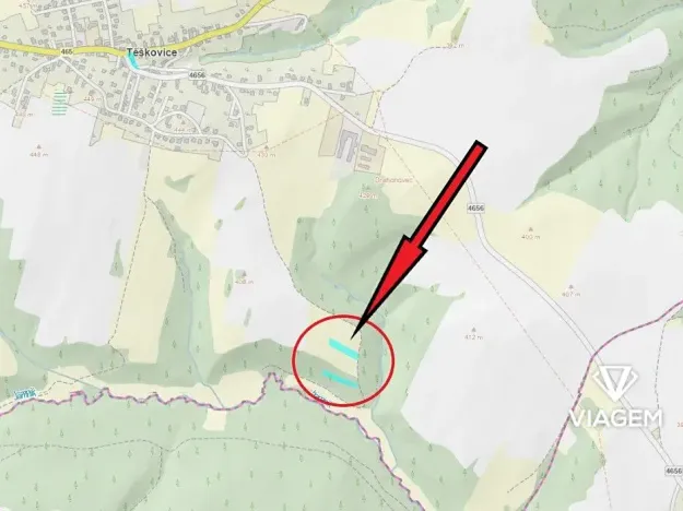 Prodej lesa, Těškovice, 1309 m2