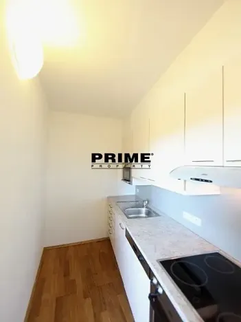 Pronájem bytu 5+1, Praha - Smíchov, Štefánikova, 168 m2