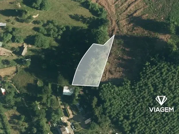 Prodej lesa, Vsetín, Rokytnice, 595 m2