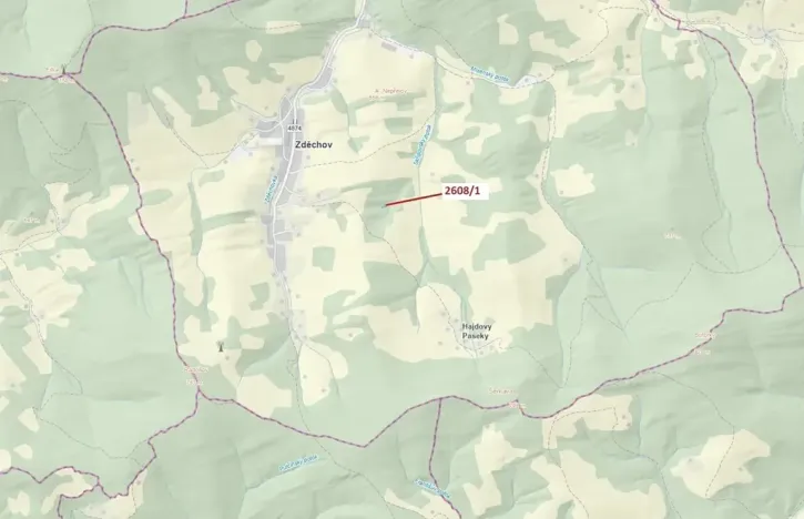 Dražba lesa, Zděchov, 481 m2