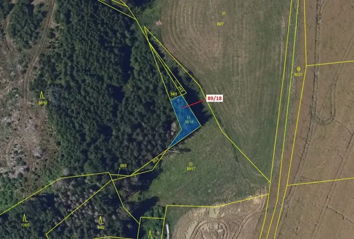 Dražba louky, Žižkovo Pole, 212 m2