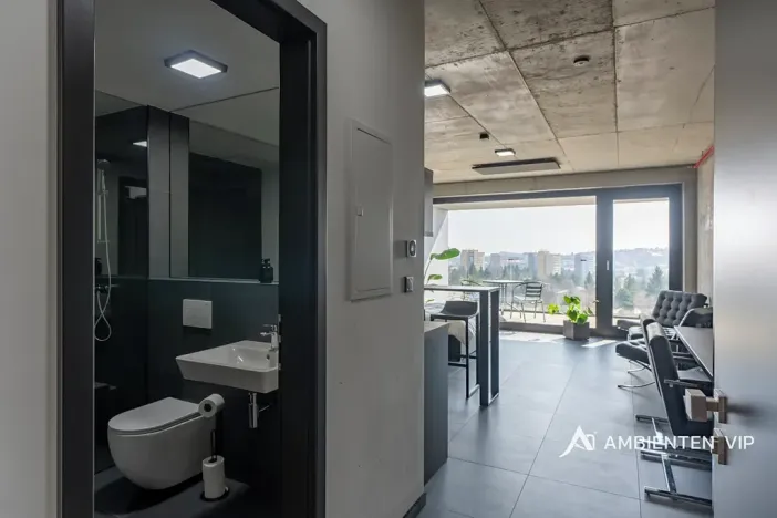 Pronájem bytu 1+kk, Brno, Královopolská, 42 m2