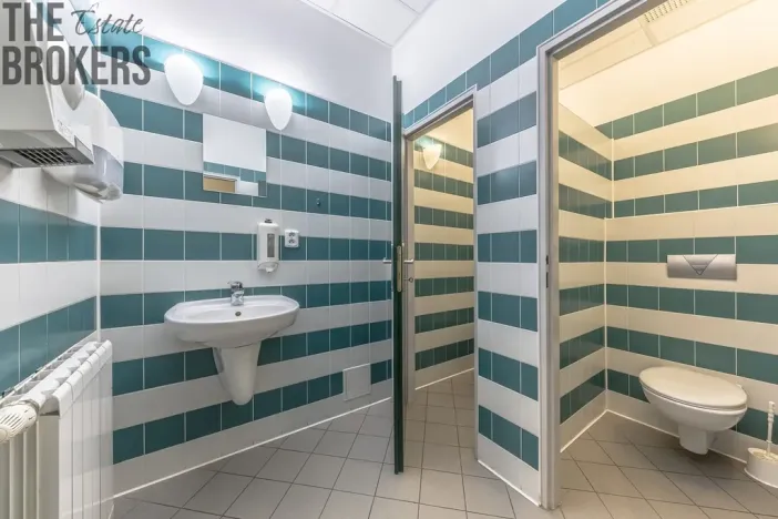 Pronájem rodinného domu, Mladá Boleslav - Čejetice, Koněvova, 296 m2