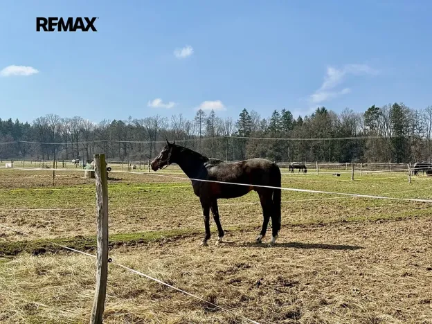 Prodej pozemku, Spálené Poříčí, 166477 m2