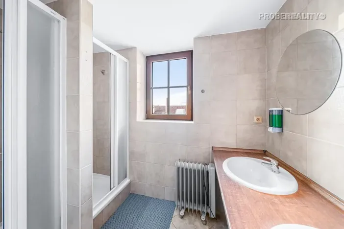 Prodej ubytování, Zvíkovské Podhradí, 780 m2