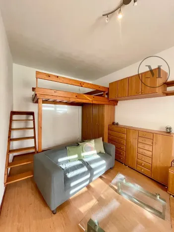 Pronájem bytu 1+1, České Budějovice, 30 m2