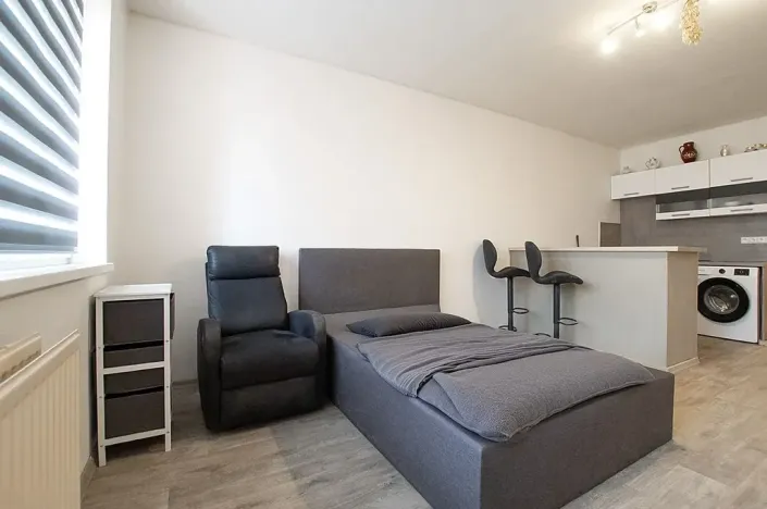 Prodej bytu 1+kk, České Budějovice, K. Chocholy, 30 m2