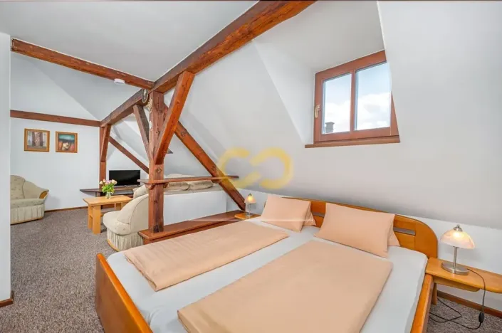 Prodej ubytování, Český Krumlov, Rooseveltova, 391 m2