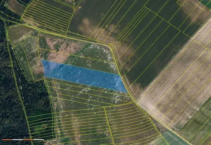 Prodej pole, Džbánice, 29834 m2