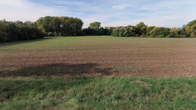 Prodej pole, Vinaře, 5793 m2