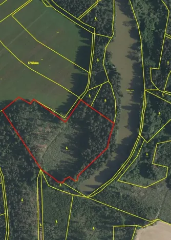 Prodej lesa, Nová Olešná, 22371 m2