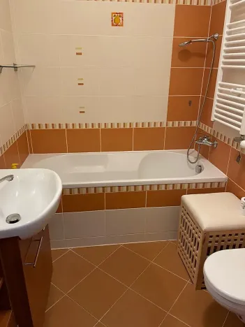 Pronájem bytu 1+kk, Olomouc, Mošnerova, 40 m2