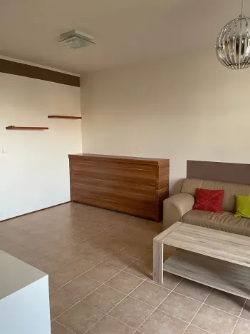 Pronájem bytu 1+kk, Olomouc, Mošnerova, 40 m2