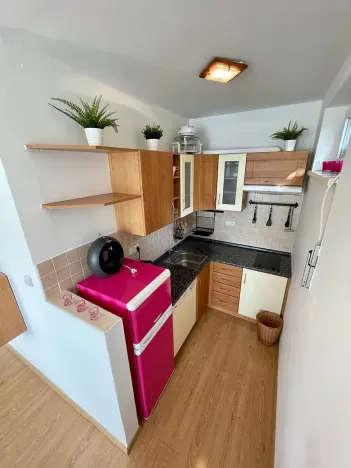 Prodej bytu 1+1, Praha - Michle, U plynárny, 37 m2